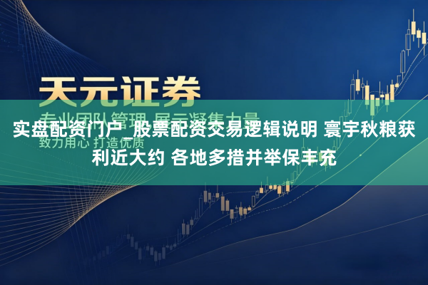 实盘配资门户_股票配资交易逻辑说明 寰宇秋粮获利近大约 各地多措并举保丰充